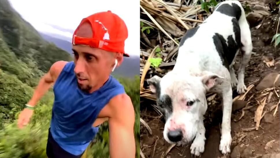 Split image, on left: Sergio Florian running, on right: dog names Stevie