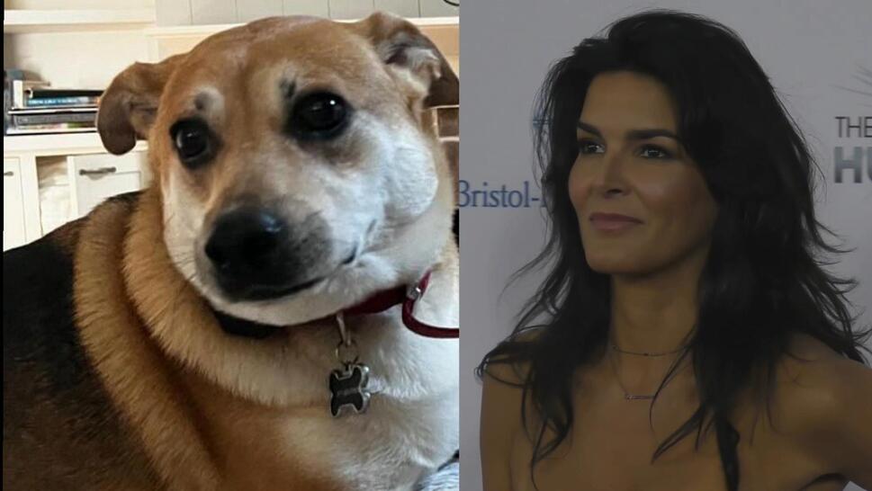 Angie Harmon and her dog.