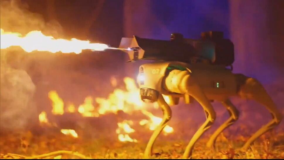 Would You Buy This Flamethrowing Robot Dog? 