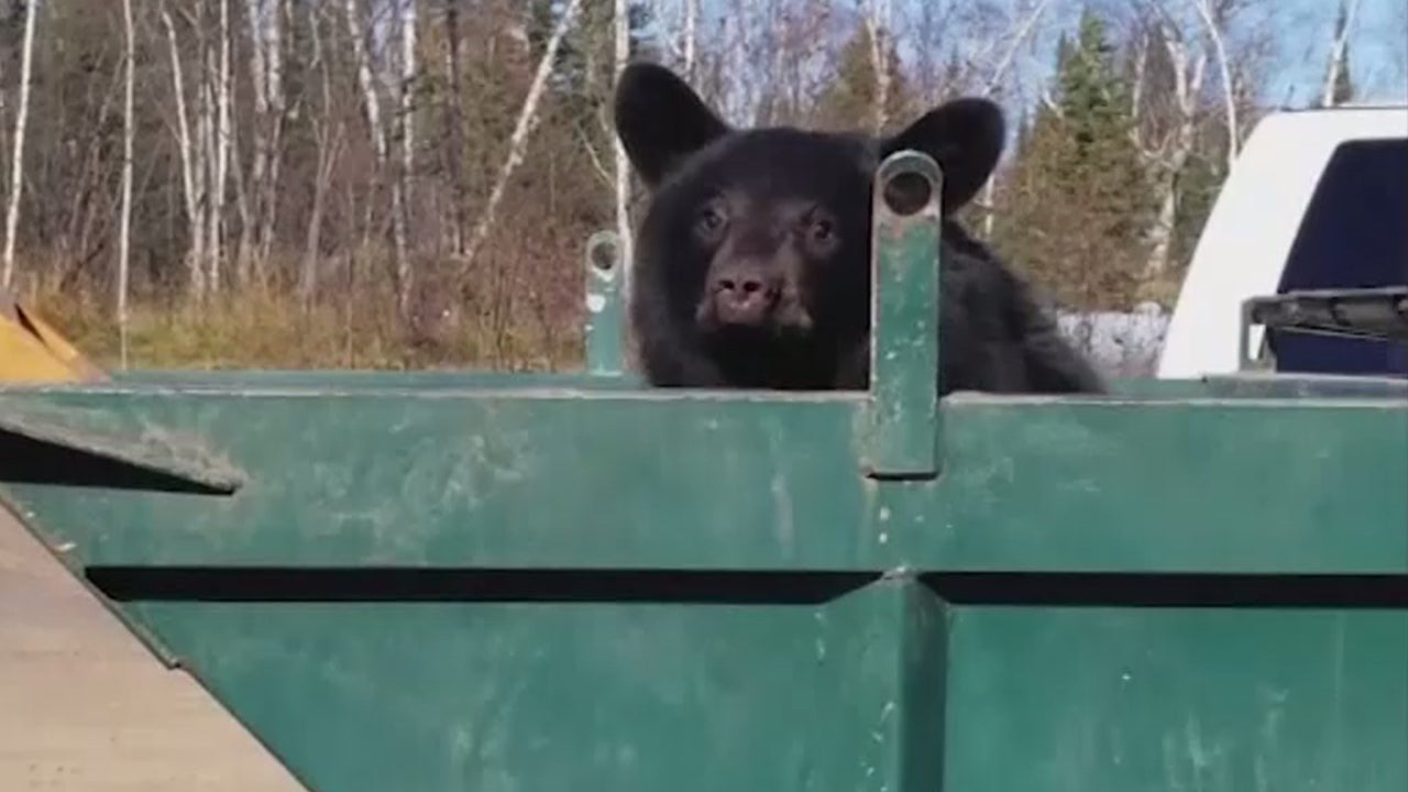 Kingston 770 Sedan Trailer Boats Boats Online for Sale