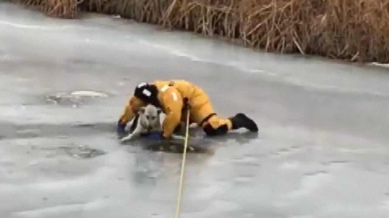Brave Firefighter Rescues Dog That Fell Through Thin Ice Inside Edition