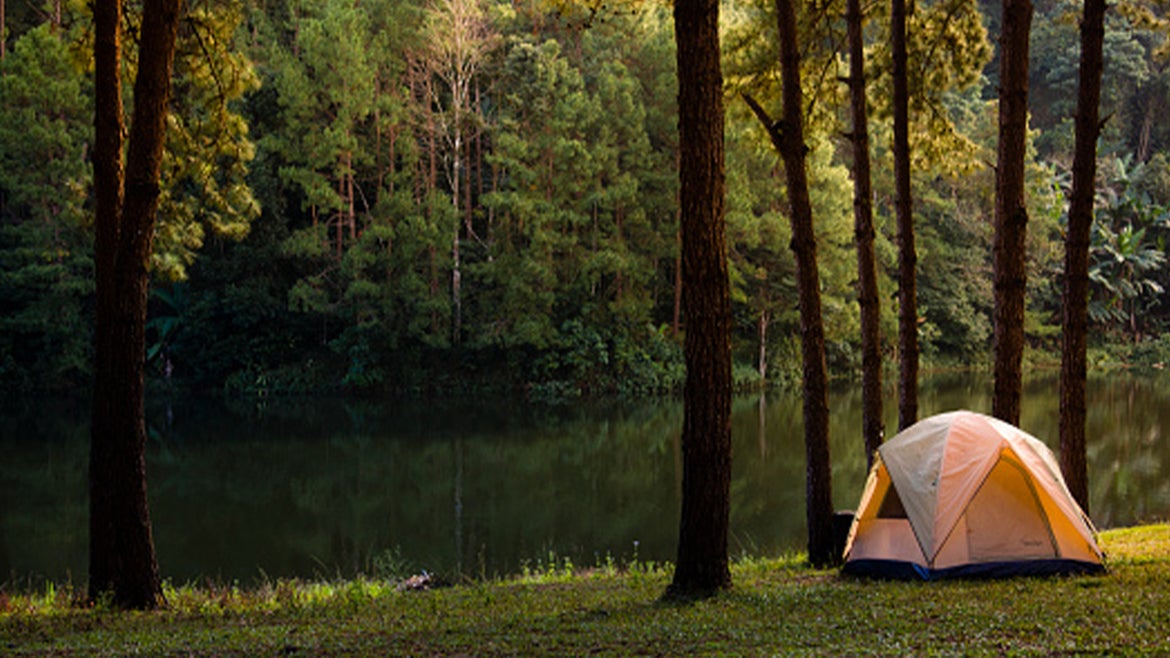 A stock image of campsite surrounded by trees. 