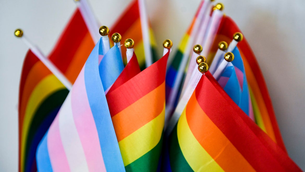 A detail photo of a collection of small Pride Flags, and Transgender Pride Flags.