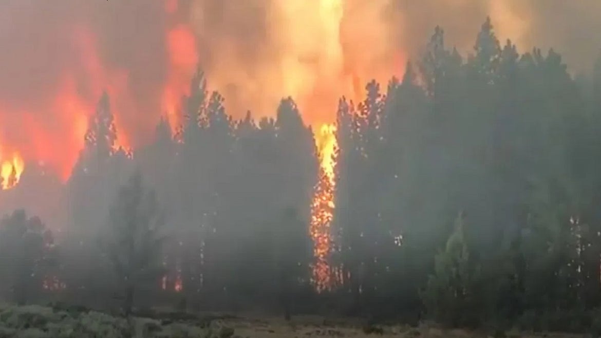Bootleg fire rages in Oregon