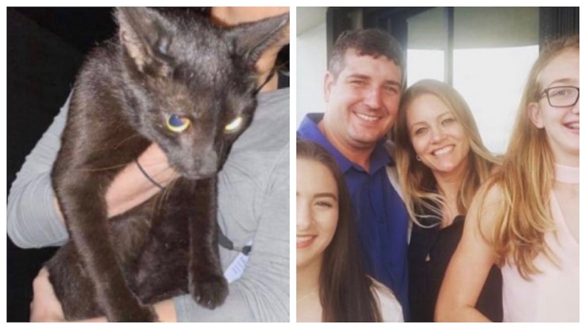 Binx, the cat found in the Miami condo collapse rubbish, and his family 