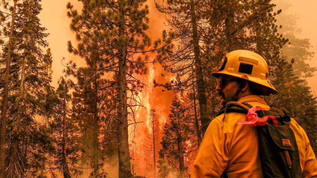 Firefighter standing in front of fire in Lake Tahoe