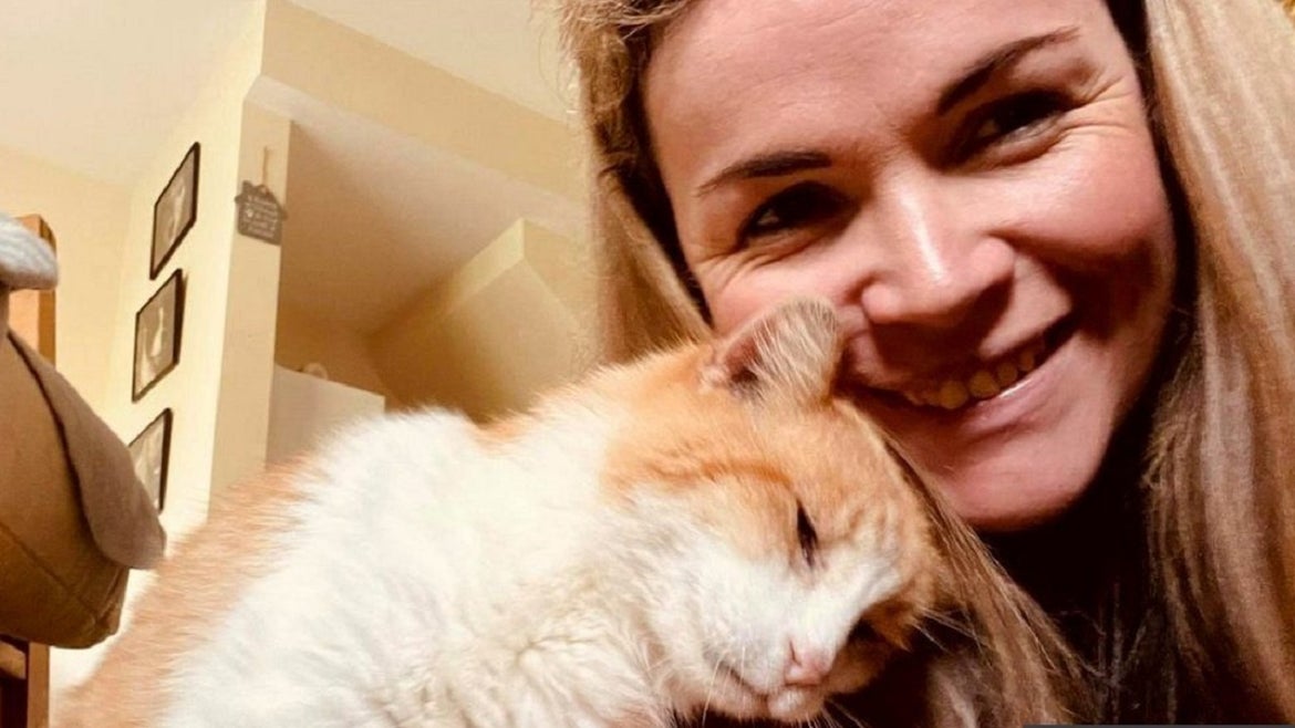 Alfie the cat returned home after 12 years.