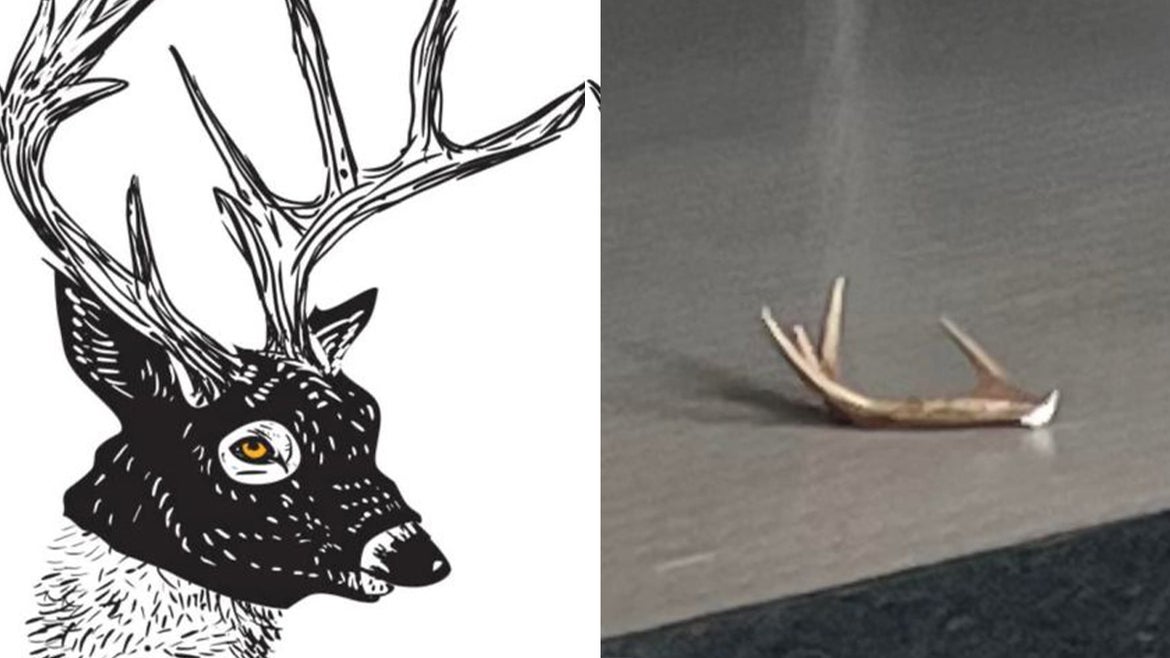 Composite sketch of suspect, and one of his antlers 