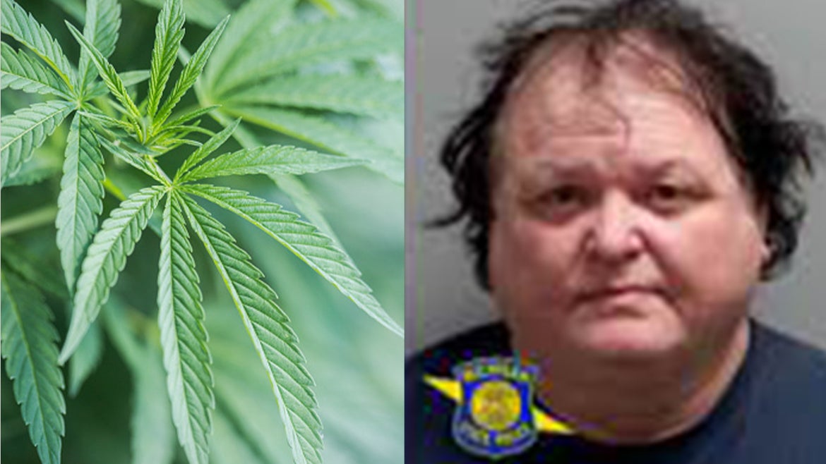 Kirk R. Gilders, 56, of Mesick, was arrested for stealing marijuana plants off someone's property; a close-up of marijuana plant.