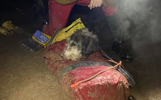 Spelunking Group Discovers Abby, A Dog Who Had Been Missing for Over 2 Months
