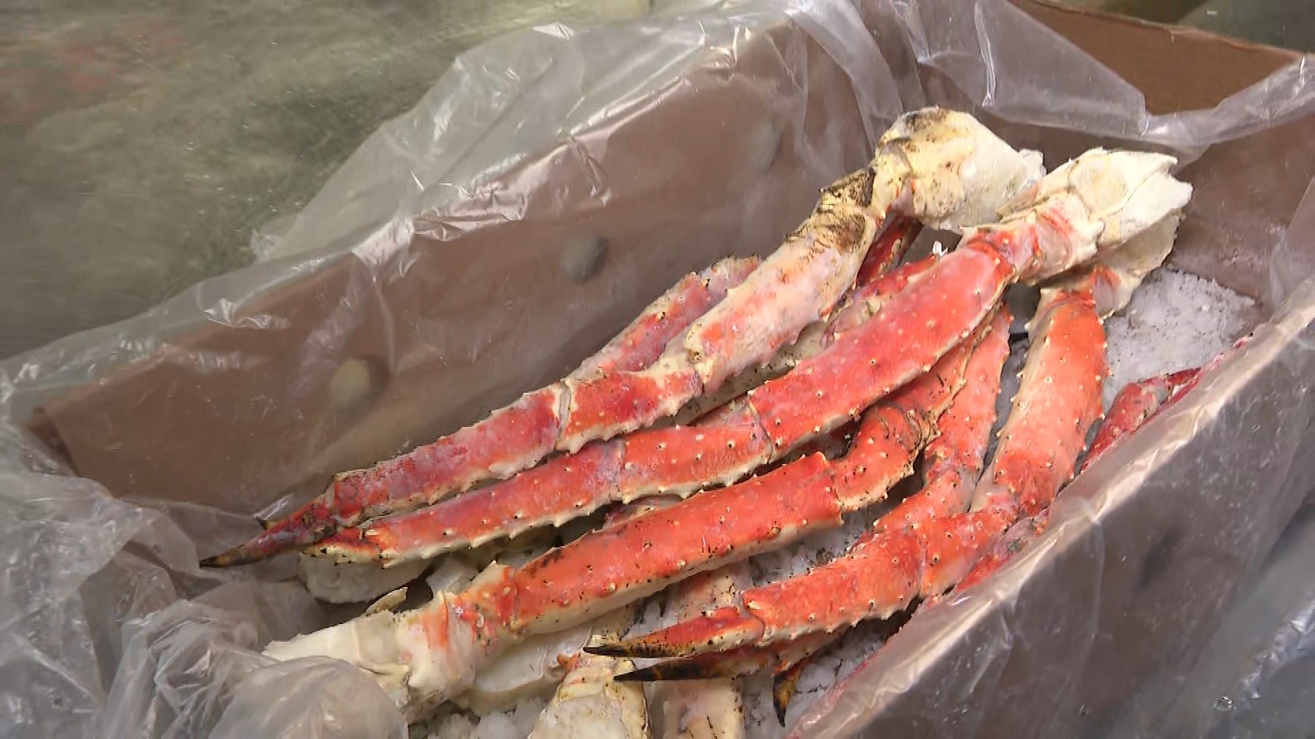 Alaska's Snow Crab Season Canceled Over Plummeting Population