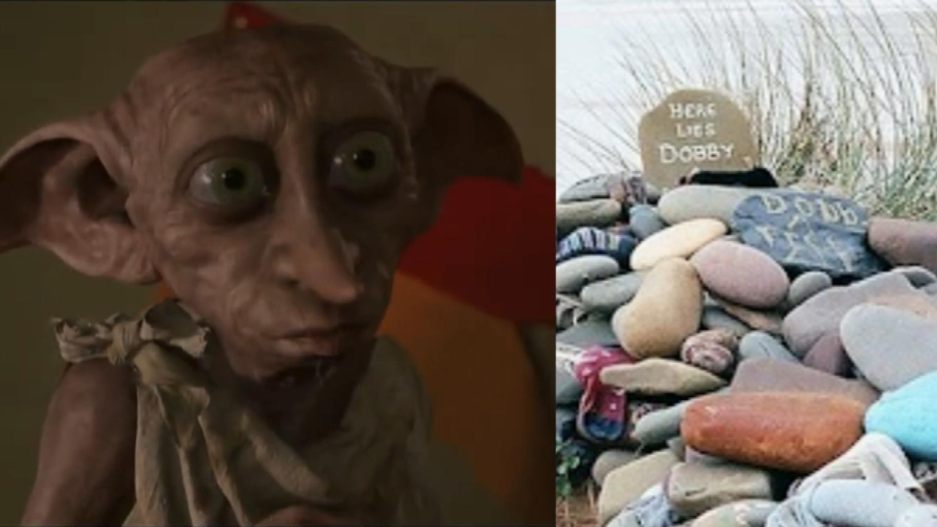 Harry Potter fans leave socks at Dobby memorial in Wales
