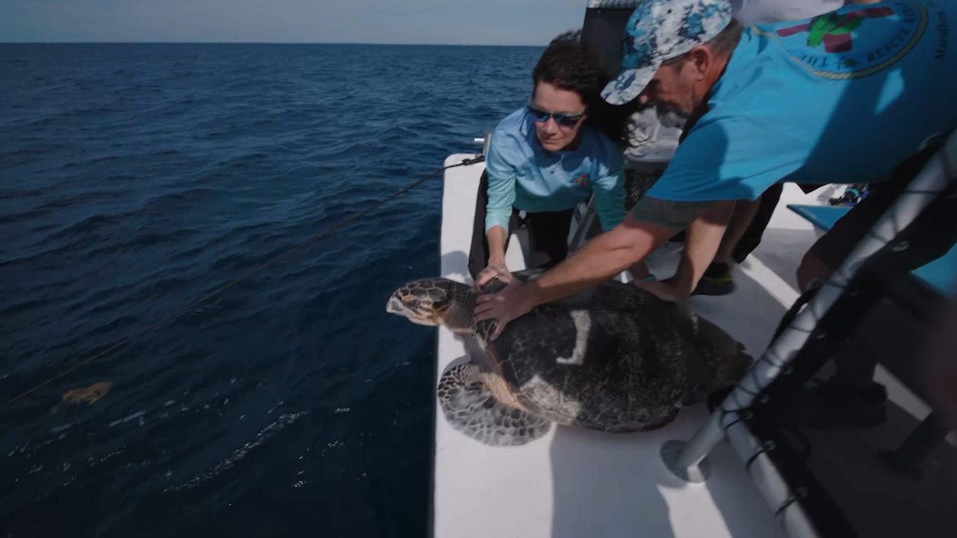 Critically Endangered Turtle Released After Recovering From