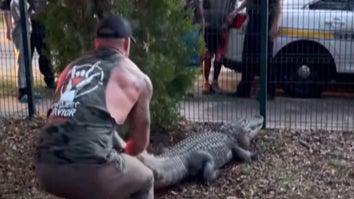 MMA Fighter Captures Massive Gator Outside Elementary School