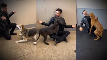 Shelter Dogs Get Adopted by Watching Magic Tricks