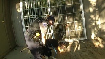 Cops Wrangled Escaped Pigs, Then Brought All the Jokes