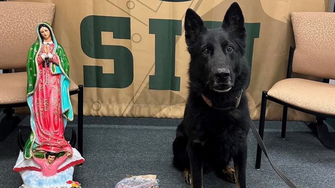 Fentanyl Virgin Mary