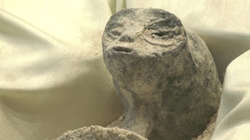 ‘Non-Human’ Remains Displayed as Mexico Debates Alien Life 