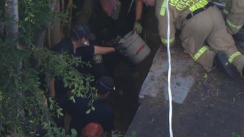 LAPD is investigating human remains found in the backyard of a North Hills home.