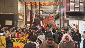 Pro-Palestinian Protesters Storm New York City Shopping Mall 