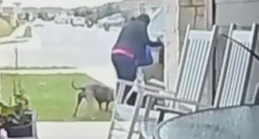 Hero Texas Mom Saves 2-Year-Old Son From Pit Bull Attack