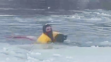 Dog named Bob rescued by firefighter from near freezing Utah lake.