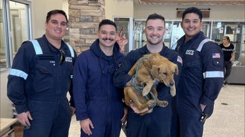 Adorable Dog Rescued From Shipping Container by Coast Guard