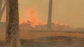 Thousands have been evacuated in Victoria, Australia, due to spreading wildfires.