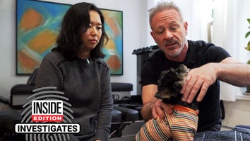 Chiropractor Doug Willen gives a dog an adjustment