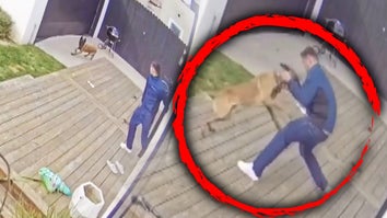 man attacked by dog in red circle