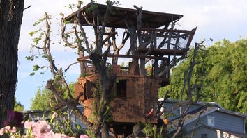  Rick Polizzi is fighting to save the 24-year-old Boney Island Treehouse from being torn down in California.