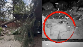 People Who Survived Close Calls with Falling Trees