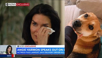 Angie Harmon Tearfully Speaks Out After Driver Shoots Dog