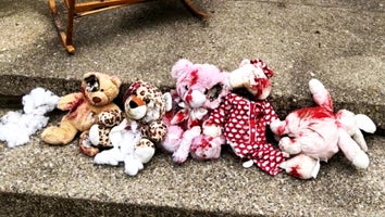 Protestors leave children's toys with red paint on college staff's home
