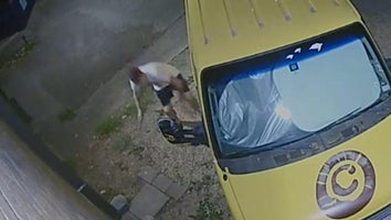 Man tries to stop catalytic converter thief.