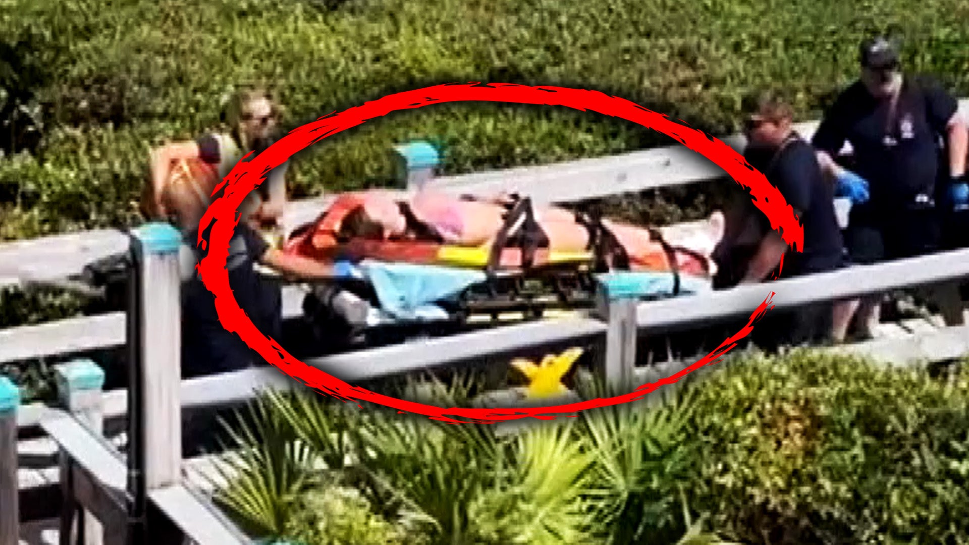 3 Injured in 2 Shark Attacks 4 Miles Apart Off Florida Beaches - Vimarsana News