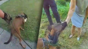 A police K9 named Pandora found a missing 73-year-old woman in Georgia in less than 30 minutes.