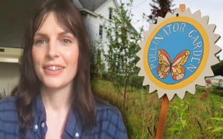 New York Woman Faced Local Backlash, Taken to Court Over Her Natural Garden
