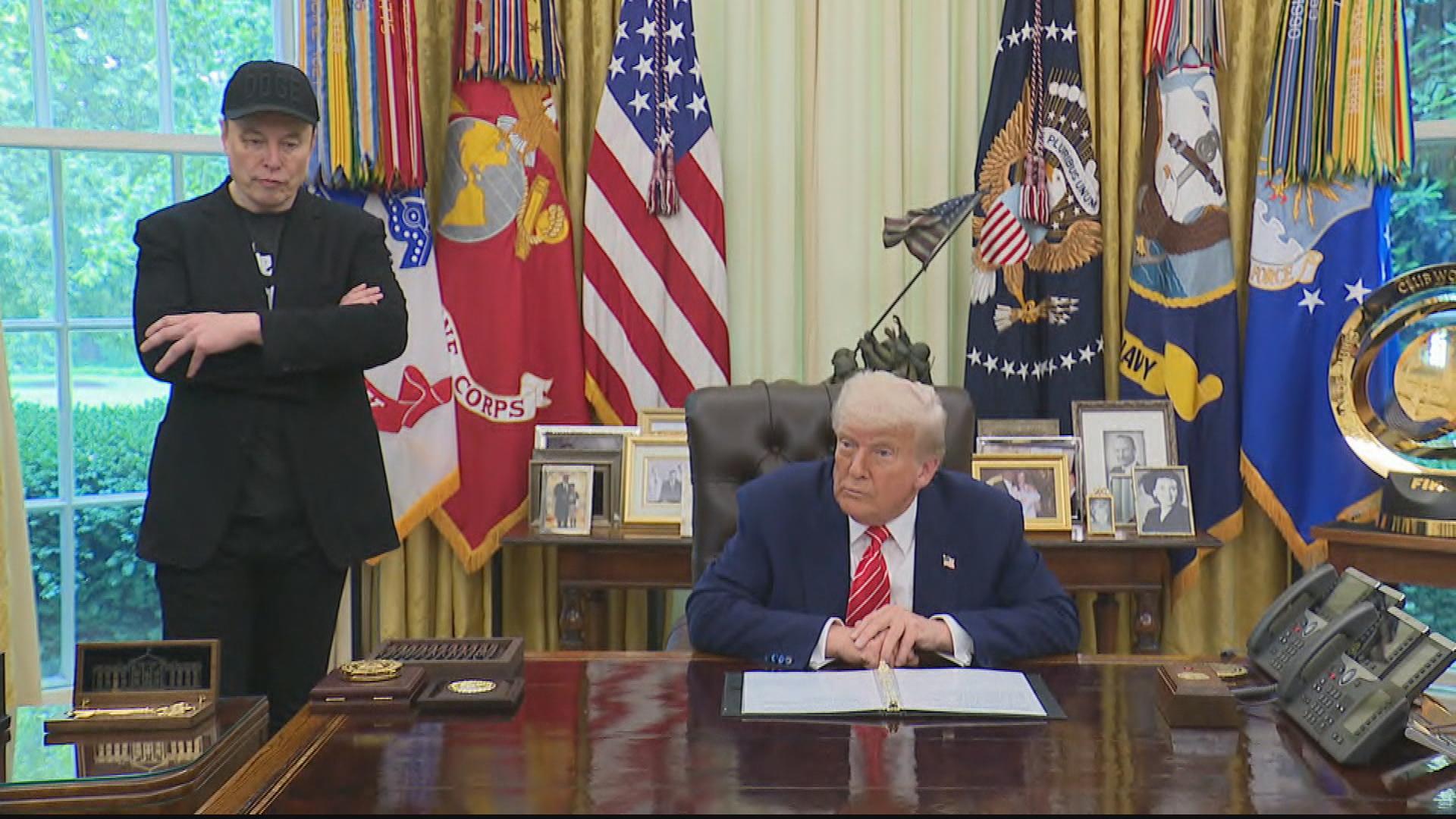 Donald Trump and Elon Musk Feud