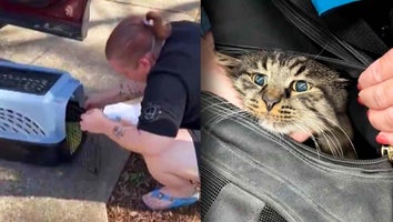 Woman kneeling down to open a pet carrier / Cat with its head sticking out of a cat carrier