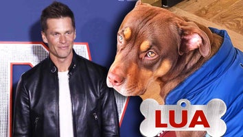 Tom Brady / Tom Brady's dog
