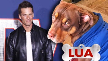 Tom Brady / Tom Brady's dog