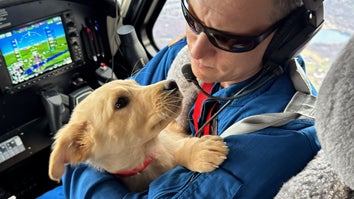 pilot on dark sunglasses cradles golden retriever puppy in plane cockpit
