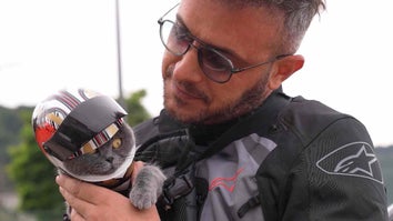 Man holding cat wearing a bike helmet