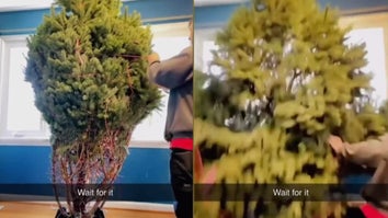 An "exploding" Christmas tree