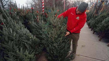 Young adult in a red jacket holding a Christmas tree