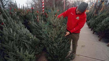 Young adult in a red jacket holding a Christmas tree