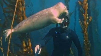 Photographer Rusty Hunter and Seal 