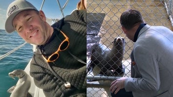 Man poses with sea lion, man visiting sea lion