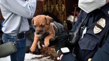 Police officer holding a puppy
